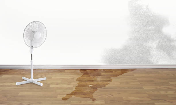 Best Sewage cleanup and water damage restoration  in Mount Olive, NC
