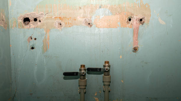Local water damage restoration in Mount Olive, NC