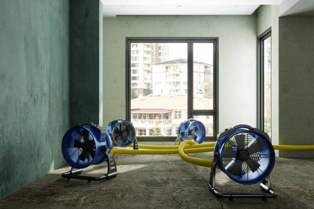 Best Fire Damage Restoration  in Mount Olive, NC
